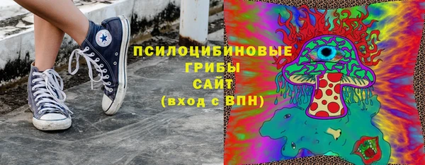 герыч Мегион