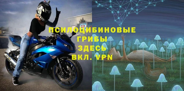 молекула духа Корсаков