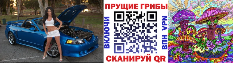 цена   OMG ссылка  Псилоцибиновые грибы Psilocybine cubensis  Салехард 
